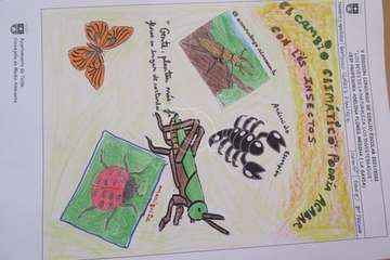 Una alumna del Colegio Hilda Zudán (Telde) gana el concurso escolar de dibujos de invertebrados/TA.